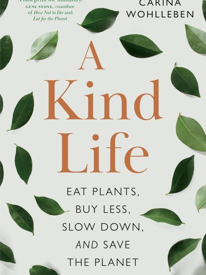 A Kind Life