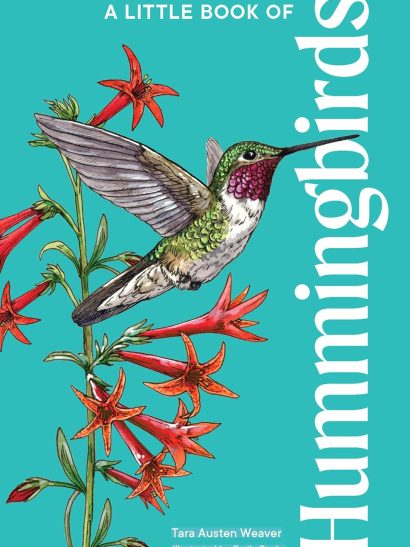 A Little Book Of Hummingbirds
