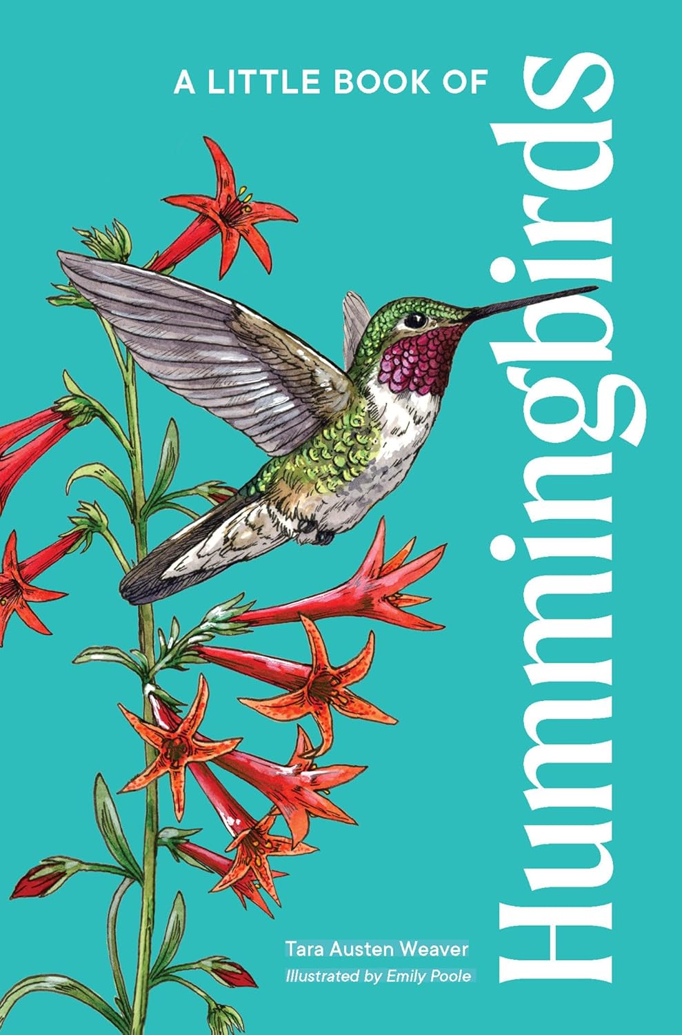A Little Book Of Hummingbirds
