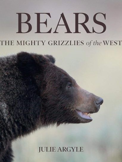 Bears  - The Mighty Grizzlies Of The West