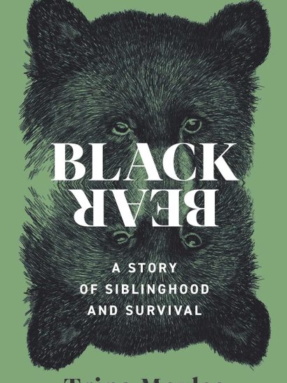 Black Bear