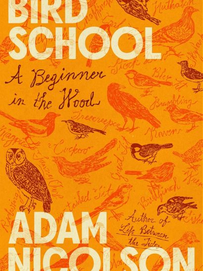 Bird School