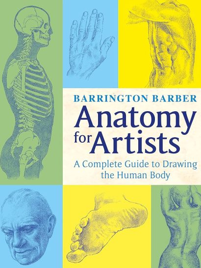 Anatomy For Artist