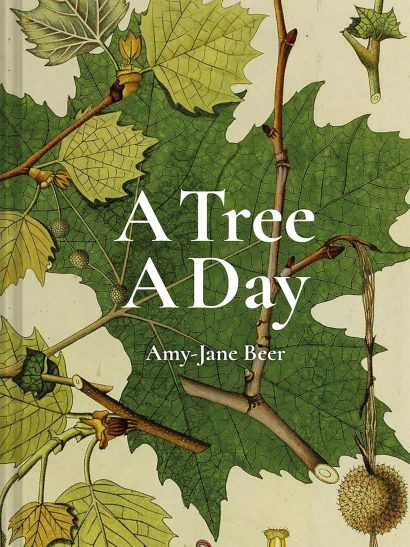 A Tree A Day