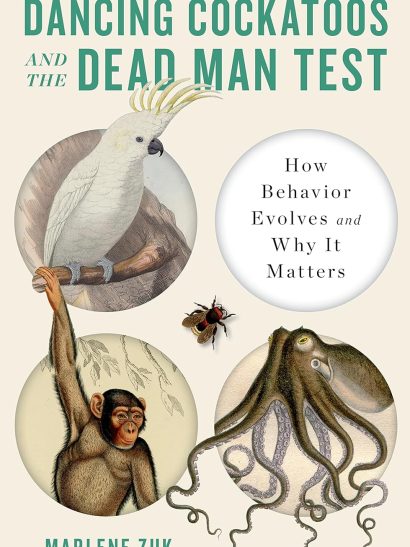 Dancing Cockatoos And The Dead Man Test